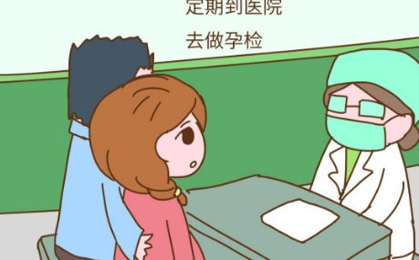 如何避免孕检误区，新手也Neng零失误排查母猪妊娠？
