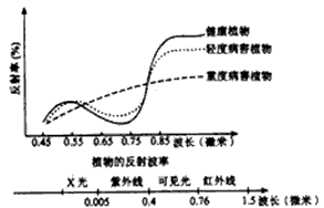 醚菌酯的工作原理