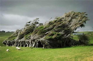 光照要玩捉迷藏