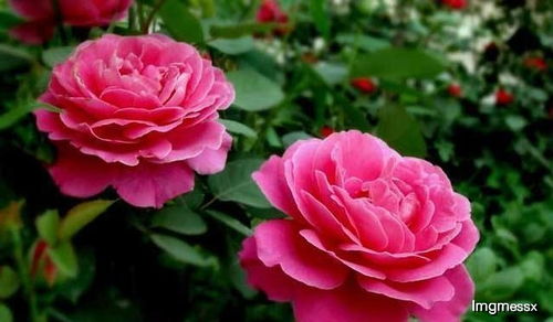 第一步：先想好， 再动手