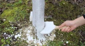 4. 防止动物侵害的小妙招