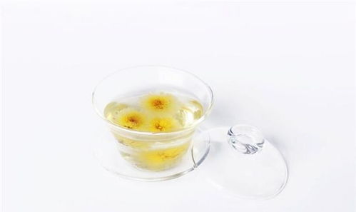 每天泡菊花茶喝，长期饮用对身体有害吗
