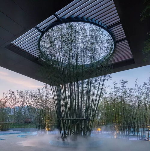 庭院竹子种植指南：选对竹子， 打造美丽家园