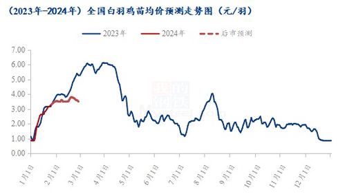 喂肉鸡一只利润多少？需了解成本、市场行情等因素