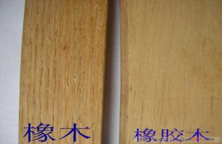 红杉树价格几何？不同规格竟有如此差异