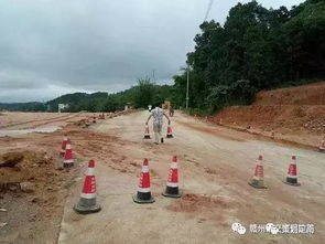 草本植物的使命
