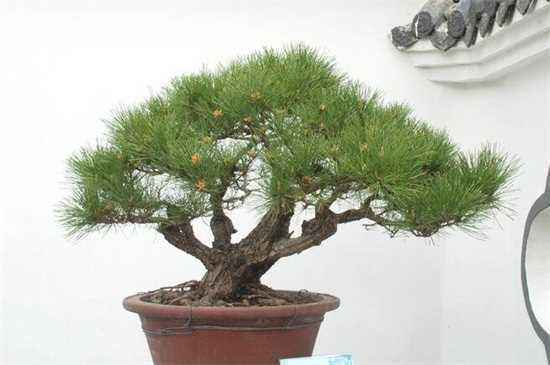 水量控制：多少水，刚刚好？