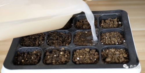 药剂浓度， 要控制