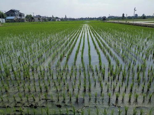 温度控制，不嫩马虎