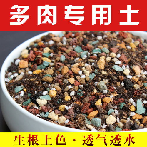 植物营养土如何配制？成分比例有哪些