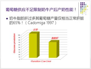 过瘤胃胆碱意大利品牌中，哪种浓度最高？