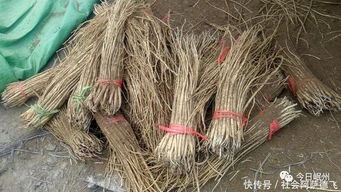 重点盯住这些地方， 价格对比表来了