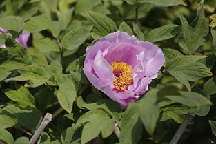 三、分类有讲究