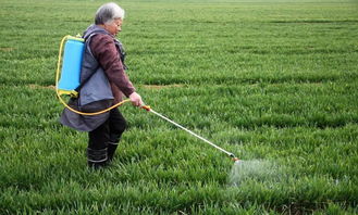 下雨天与药害情况