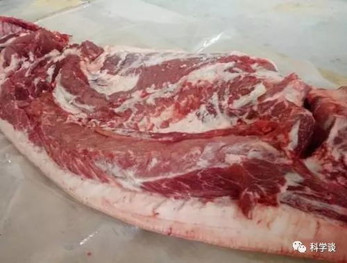 如何根据猪饲料配方选择原料，以及如何辨别土猪肉和饲料猪肉？