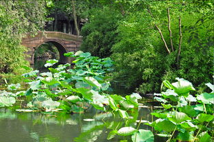 园林苗圃的管理与技术