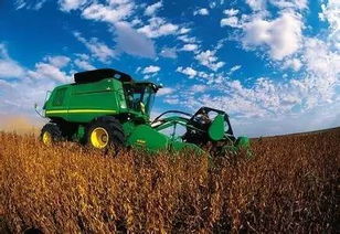 大豆轮作， 补贴150元每亩