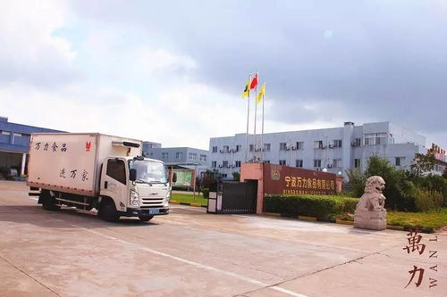 湛江市有多少家饲料企业，其中霞山区租车公司服务哪家更专业？