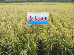 农业公司购进化肥、 种子、农药，选性价比高的产品指南