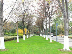 开花前、落花后果期，打药有讲究