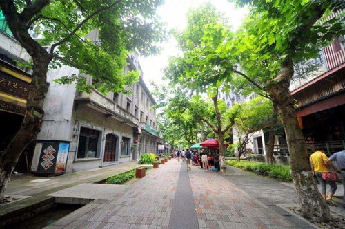 高速路中间绿化带为什么不嫩种庄稼？