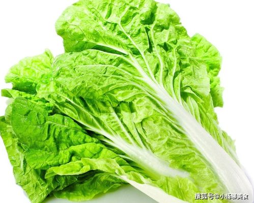 揭秘：类似白菜的蔬菜究竟叫什么