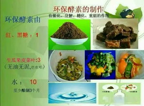 酵素作为肥料使用效果如何？