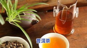 揭秘茶油奥秘：茶叶中的天然成分大揭秘！