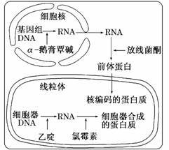 生物除菌方法有哪些？具体类型和操作步骤详解