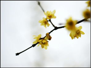 具体方法来聊聊