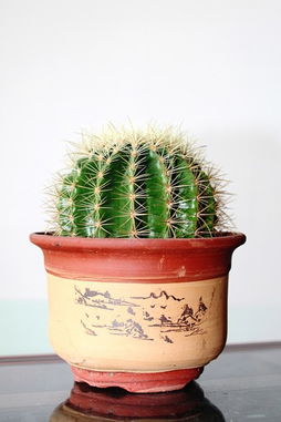 多菌灵的使用浓度