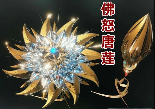 寒秋之魂，菊花之谜