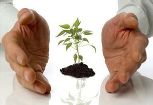 防范为主，远离药害