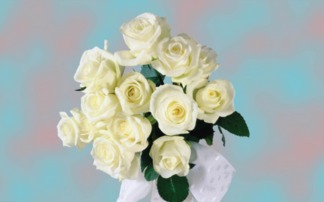 纯洁庄严， 百年好合——百合与马蹄莲