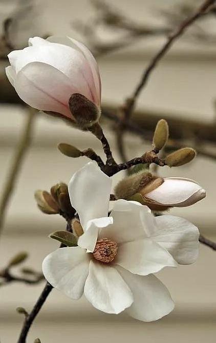 数量与质量的关系