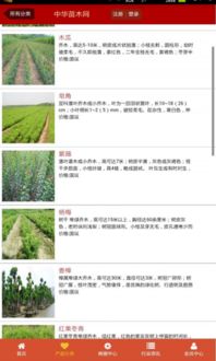 关键词查询：寻找那把开启优化之门的钥匙