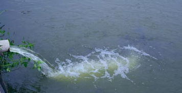 鱼种越冬死亡率高，主要因水温低、溶氧不足、疾病等