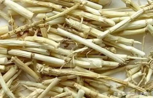 白茅根泡水喝，清热利尿