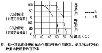 金铃子生长周期中，不同阶段对环境温度和光照时长有哪些具体要求