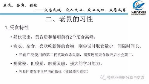 猪场生物安全：综合防病与控污的养殖新策略
