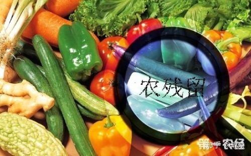 农药残留的隐秘危害