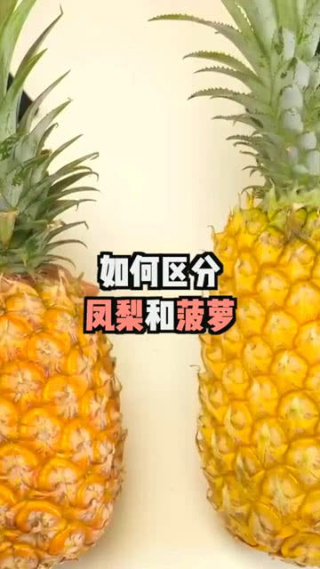 菠萝表皮粗糙，凤梨光滑