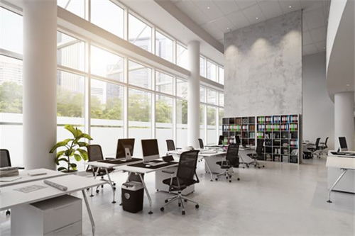 办公室绿植挑选与布局，打造清新办公空间！