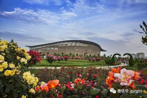 特色展品， 吸引眼球