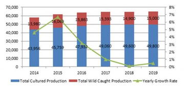 预测未来一年养殖产量，基于历史数据与市场趋势