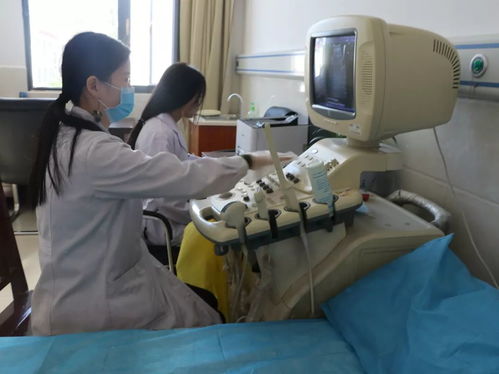 母猪产前防疫：确保疫苗接种