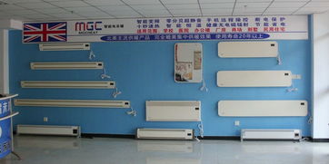 高效节能，辐射式电采暖