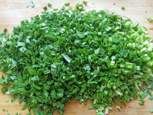 韭菜在哪个季节种植最适宜，春季还是秋季