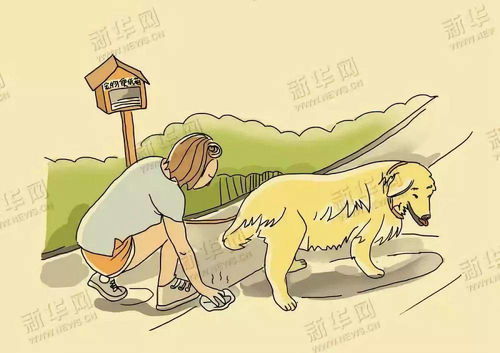 白蚁防治：针对白蚁侵害房屋、家具等