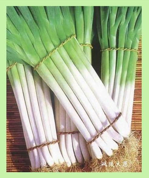 大葱干尖：揭秘治疗之谜